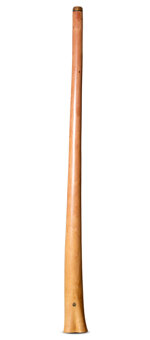 Wix Stix Didgeridoo (WS348)